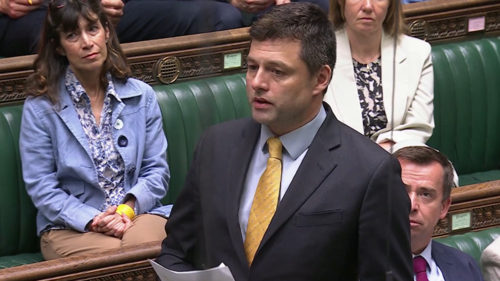 chris in parliament