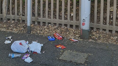 litter at box hill station